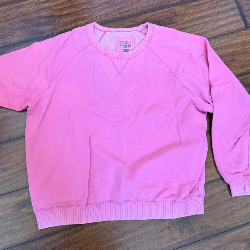 American Eagle Outfitters Soft Pink Sweatshirt